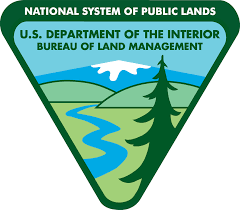 BLM Internship