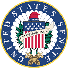 Senate Internship