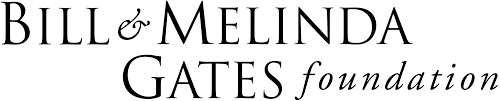 Gates Foundation Internship